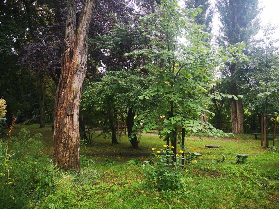 דירות גדנסק Apartament Wroblewski מראה חיצוני תמונה
